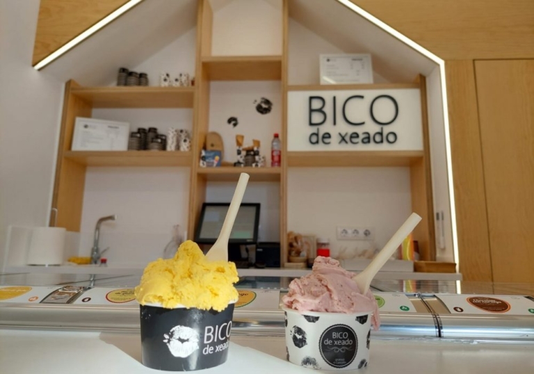 Img BICO DE XEADO Fuengirola 1 768x538