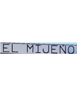 LOGO 19